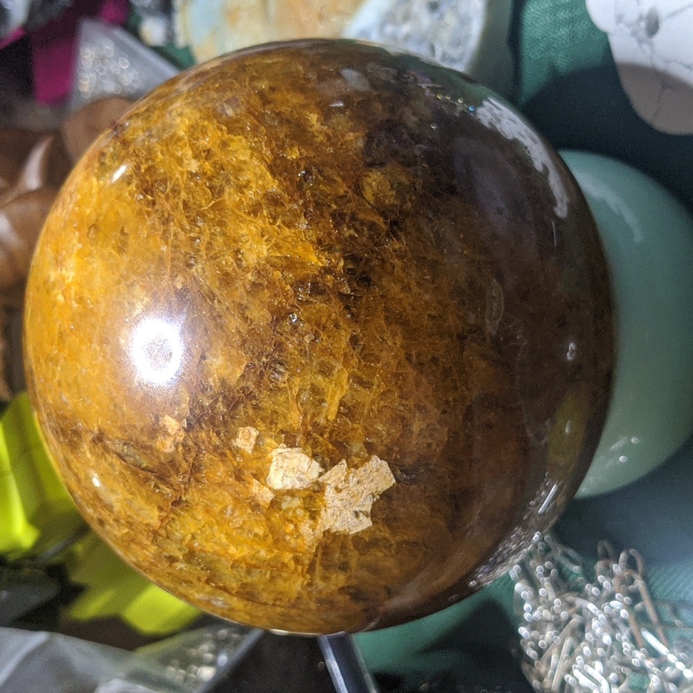 Golden Healer (4lb +) - Picture 2 of 2